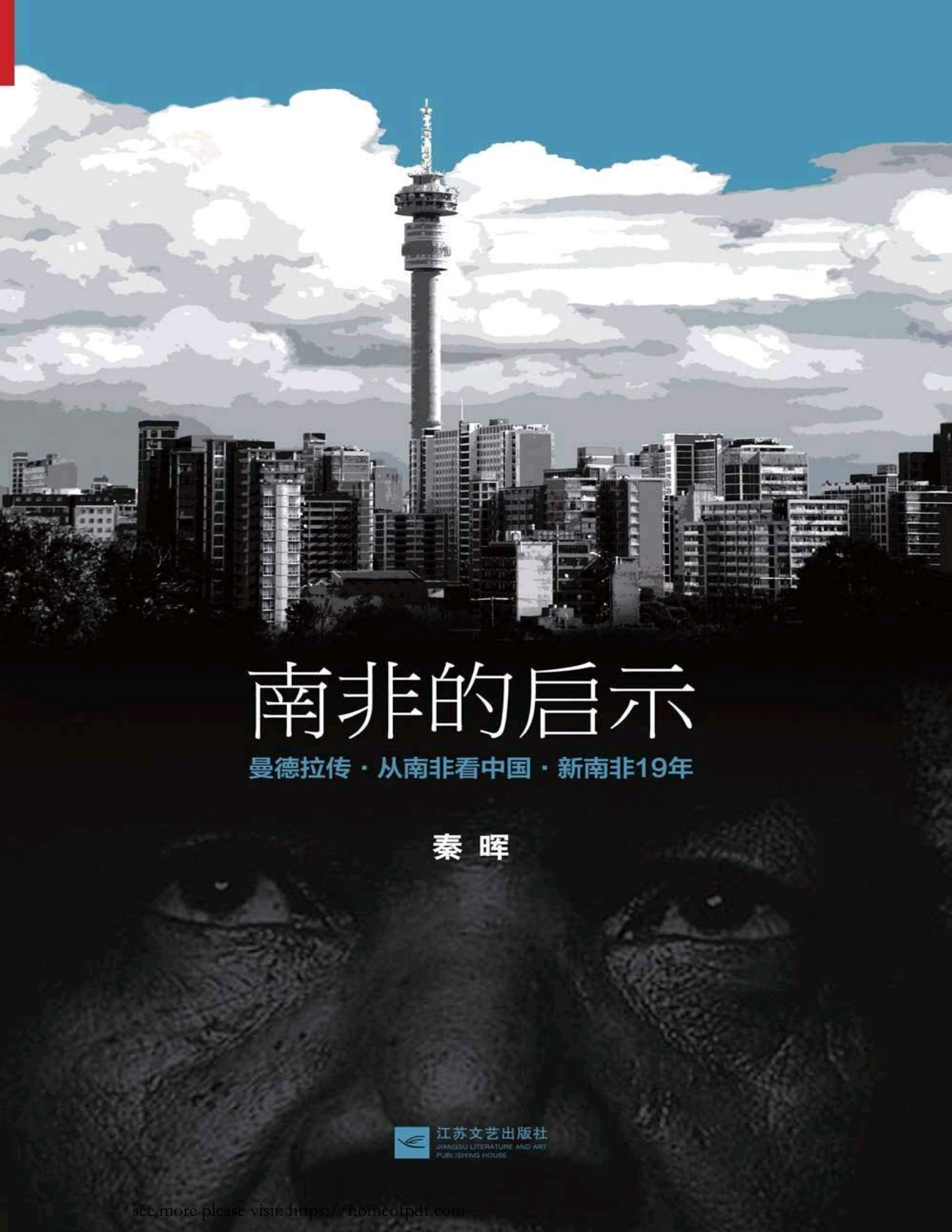 《南非的启示》封面